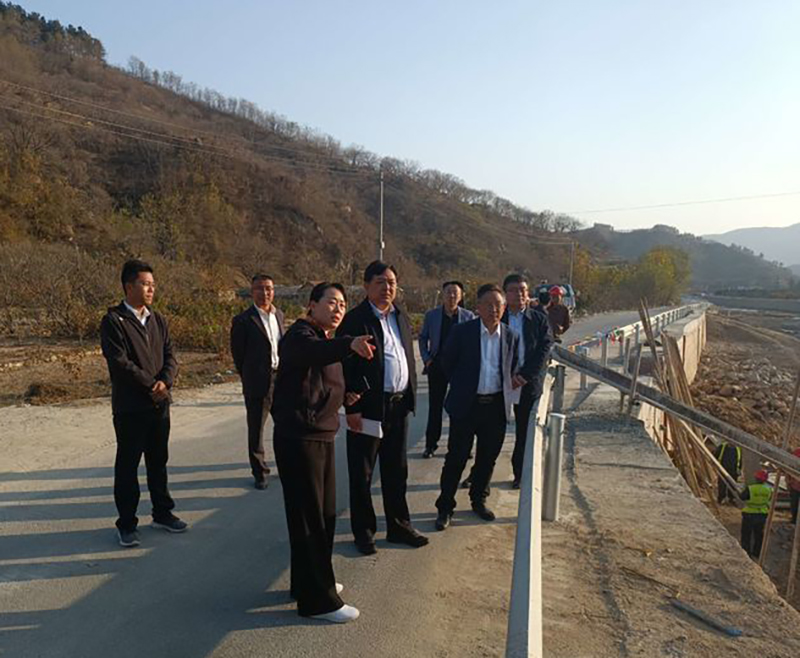 11.3大王庄镇1.jpg 11.3大王庄镇1.jpg