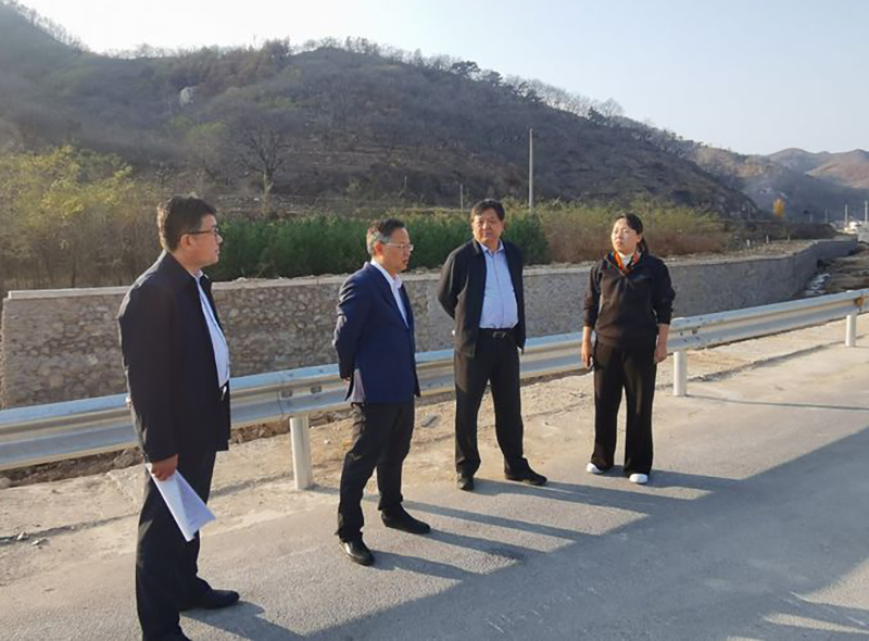 11.3大王庄镇2.jpg 11.3大王庄镇2.jpg