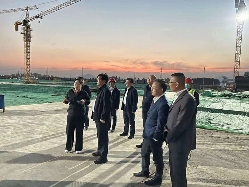 11.3大王庄镇8.jpg 11.3大王庄镇8.jpg