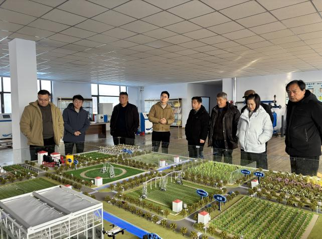 图片 17.png 图片 17.png