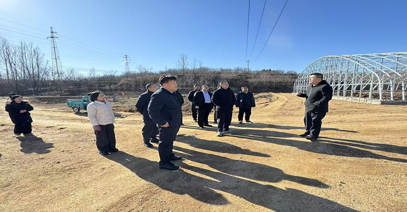 图片 49.png 图片 49.png