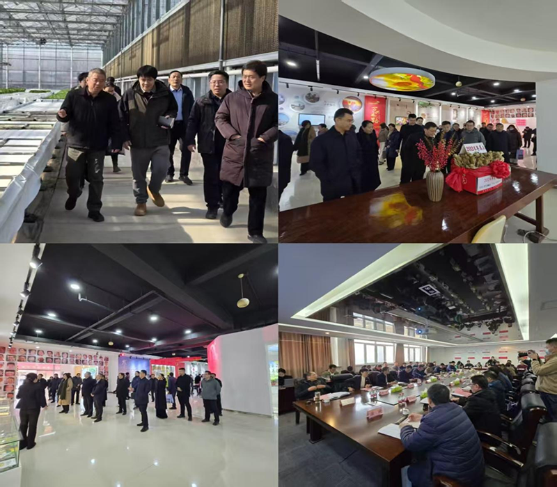 图片 73.png 图片 73.png