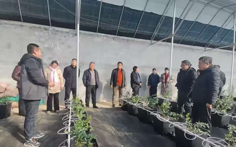 图片 80.png 图片 80.png